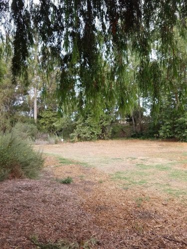Calle Barquero Open Space