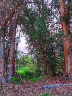 Calle Barquero Open Space