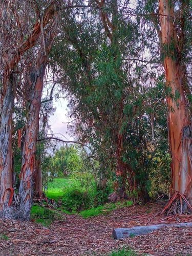 Calle Barquero Open Space