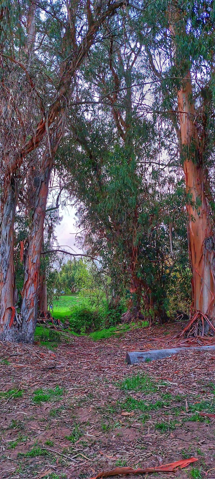 Calle Barquero Open Space - Santa Barbara, CA