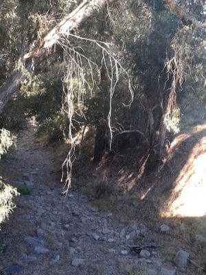 Calle Barquero Open Space
