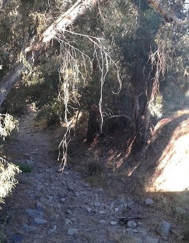 Calle Barquero Open Space