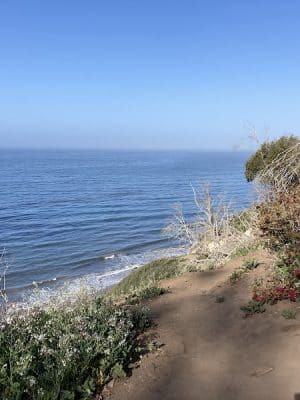 Douglas Family Preserve