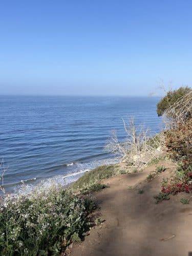 Douglas Family Preserve