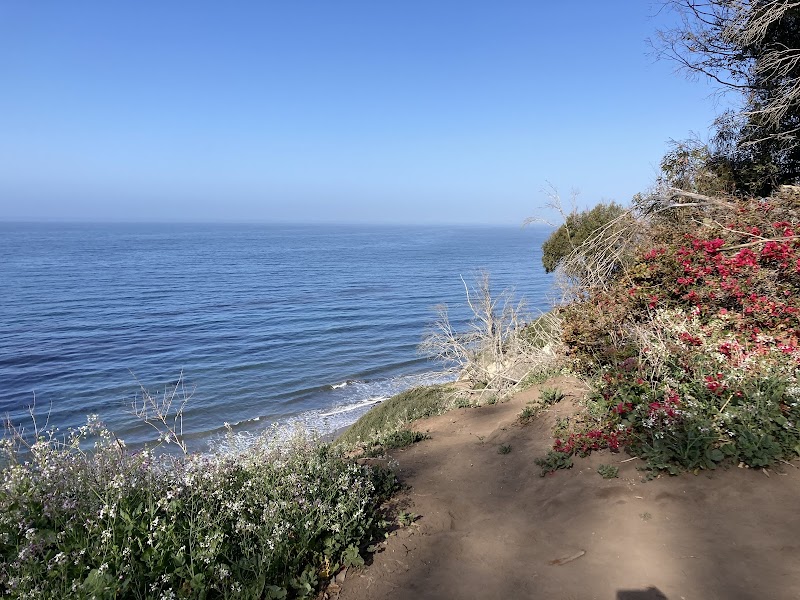Douglas Family Preserve - Santa Barbara, CA