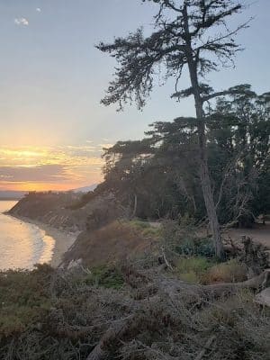 Douglas Family Preserve