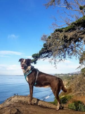 Douglas Family Preserve