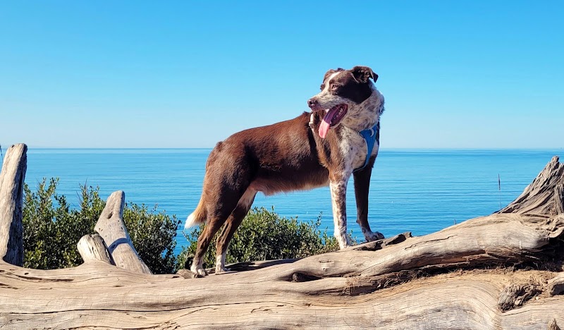 Douglas Family Preserve - Santa Barbara, CA