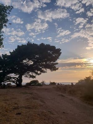 Douglas Family Preserve