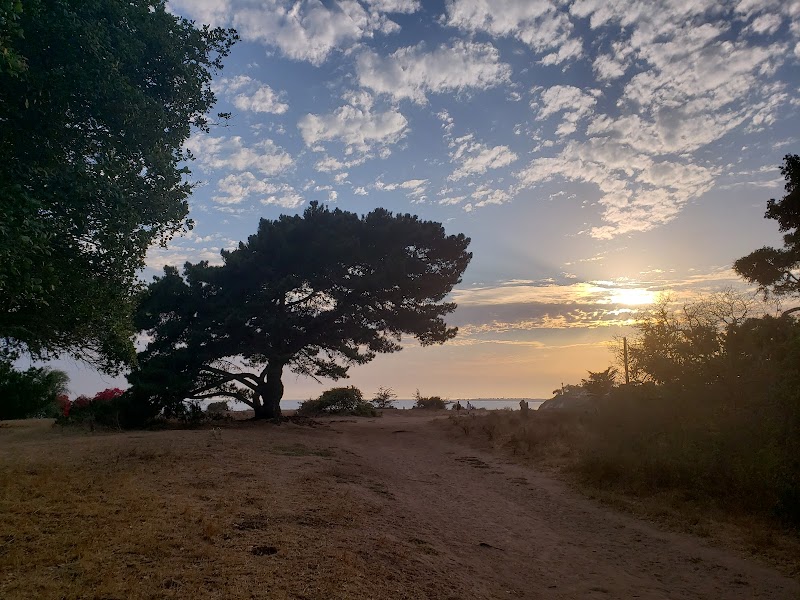 Douglas Family Preserve - Santa Barbara, CA