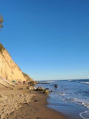 Douglas Family Preserve