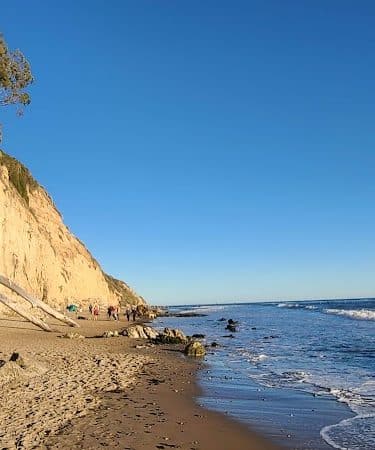 Douglas Family Preserve