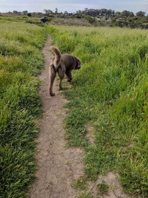 Elings Park