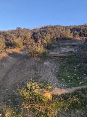 Elings Park