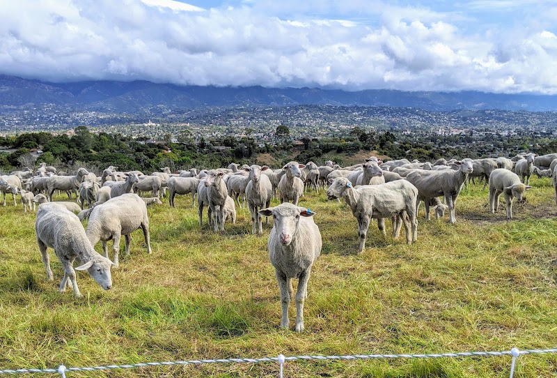 Elings Park - Santa Barbara, CA