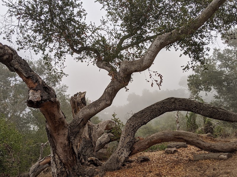 Elings Park - Santa Barbara, CA