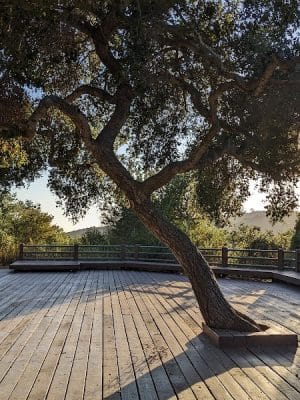 Elings Park