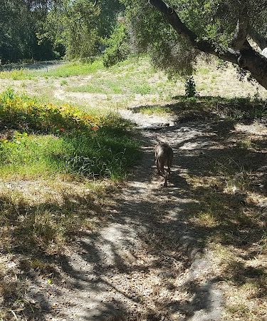 Hale Park