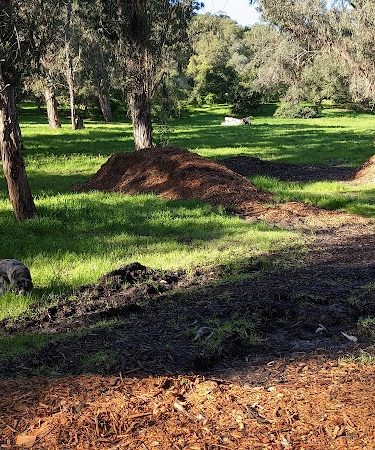 Hale Park
