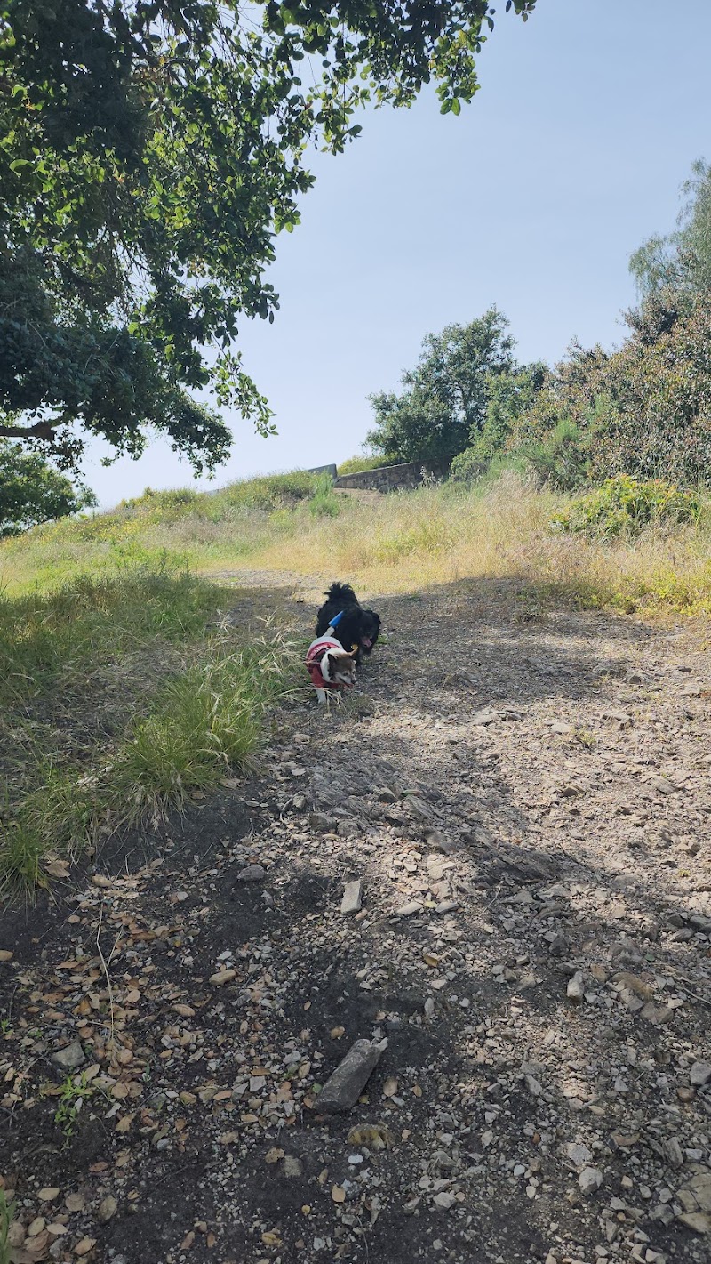 Hale Park - Santa Barbara, CA