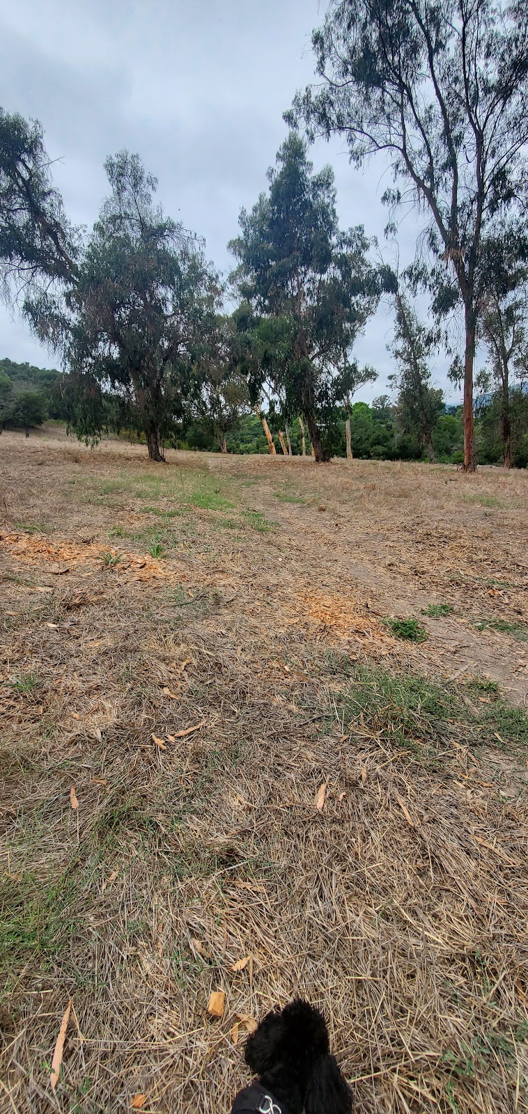 Hale Park - Santa Barbara, CA