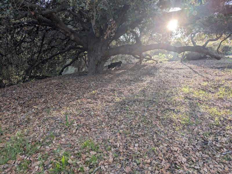 Hale Park - Santa Barbara, CA