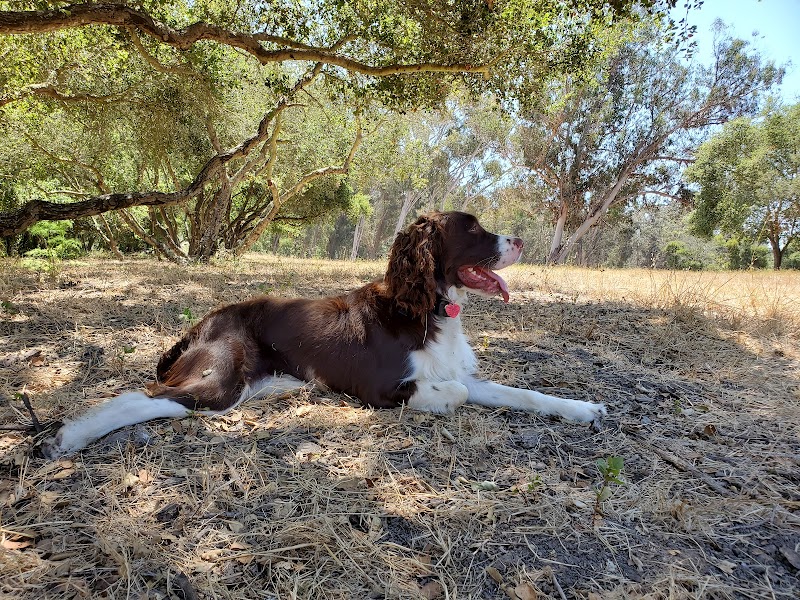 Hale Park - Santa Barbara, CA