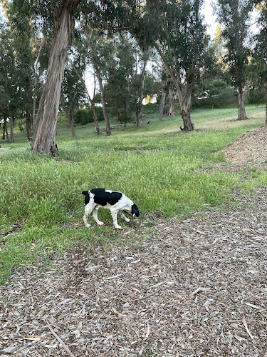 Hale Park