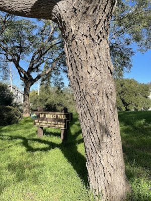 Los Robles Park