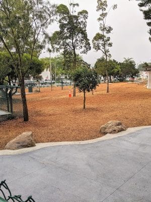 MacKenzie Park Dog Park