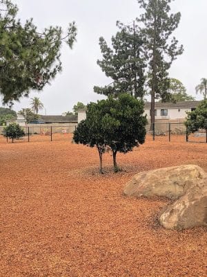 MacKenzie Park Dog Park