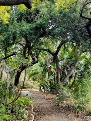 Orpet Park