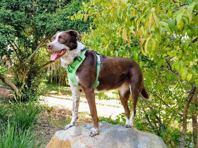 Orpet Park - Santa Barbara, CA