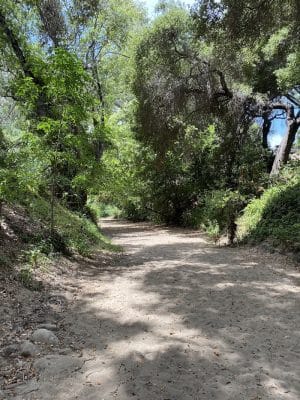 Patterson Open Space