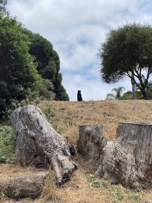 Patterson Open Space