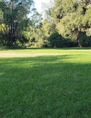 Patterson Open Space