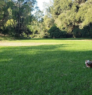 Patterson Open Space