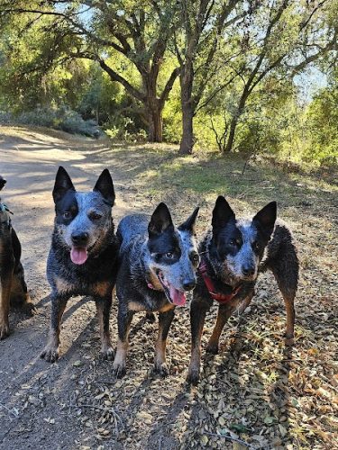 San Antonio Canyon Park