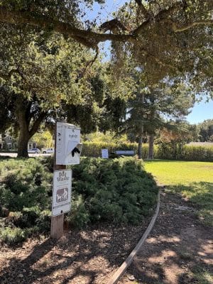 San Roque Park