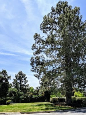 San Roque Park