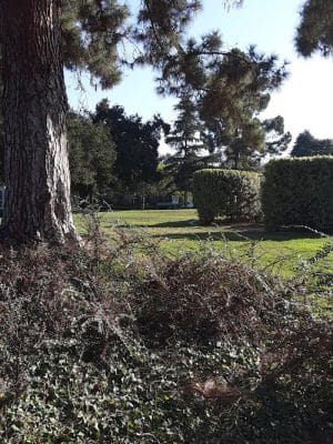 San Roque Park
