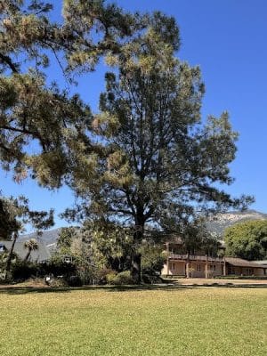 San Roque Park