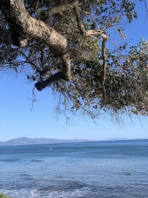 Shoreline Park