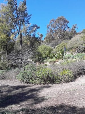 Sylvan Park