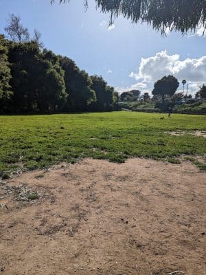 Tabano Hollow Open Space