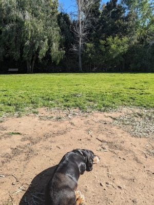 Tabano Hollow Open Space