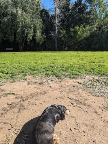 Tabano Hollow Open Space