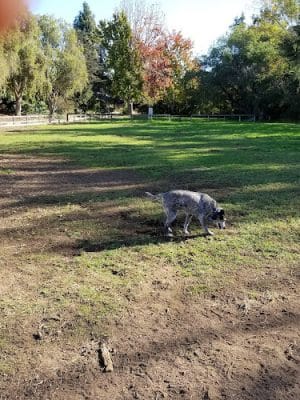 Tabano Hollow Open Space