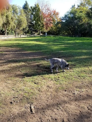 Tabano Hollow Open Space