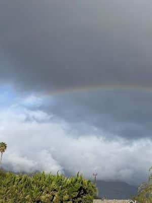 Tabano Hollow Open Space